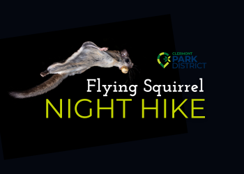 flyingsquirrel NH1